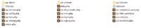 WordPress Dateien sichern beim manuellen Update