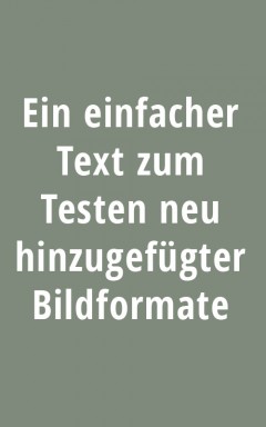 Bildgrößen für Artikelbilder beim Hochladen